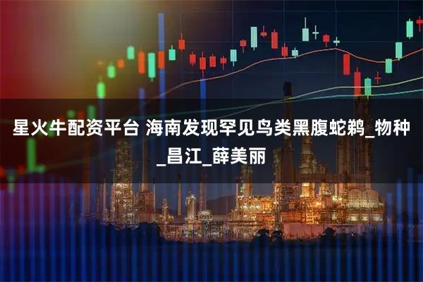 星火牛配资平台 海南发现罕见鸟类黑腹蛇鹈_物种_昌江_薛美丽