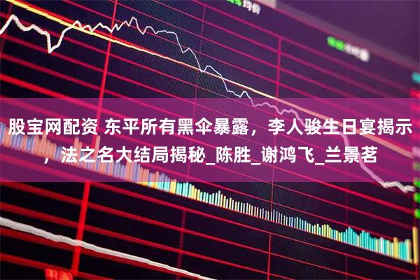 股宝网配资 东平所有黑伞暴露，李人骏生日宴揭示，法之名大结局揭秘_陈胜_谢鸿飞_兰景茗