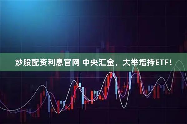 炒股配资利息官网 中央汇金，大举增持ETF！