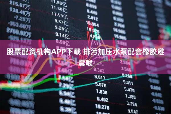 股票配资机构APP下载 排污加压水泵配套橡胶避震喉